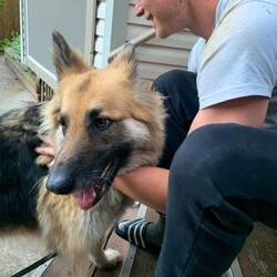 Meeka in Surrey