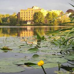 Schöne Abendstimmung