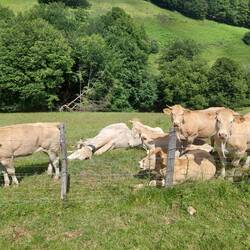 Keine von denen wollte mir sagen in welcher Richtung Santiago liegt...