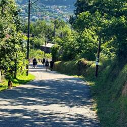 beautiful decent down into Redondella, walked with Michael & Melissa