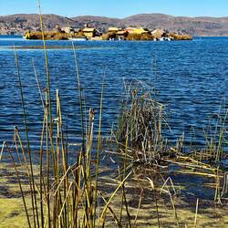 Uros island from reedbed