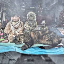 Diese Katze darf im Wohnmobil um die Welt reisen