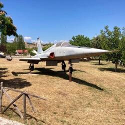 Andere Länder andere Vorgärten