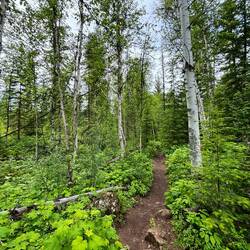 Weg zum Moul Fall