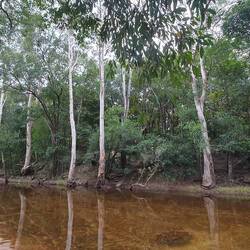 Perfect location. Disturbingly quiet overnight after the noises of the rainforest and a windy beach!