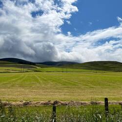 A view on the drive later, after a rain shower.