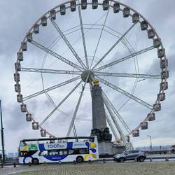 The HOHO bus is a To-oT bus here.