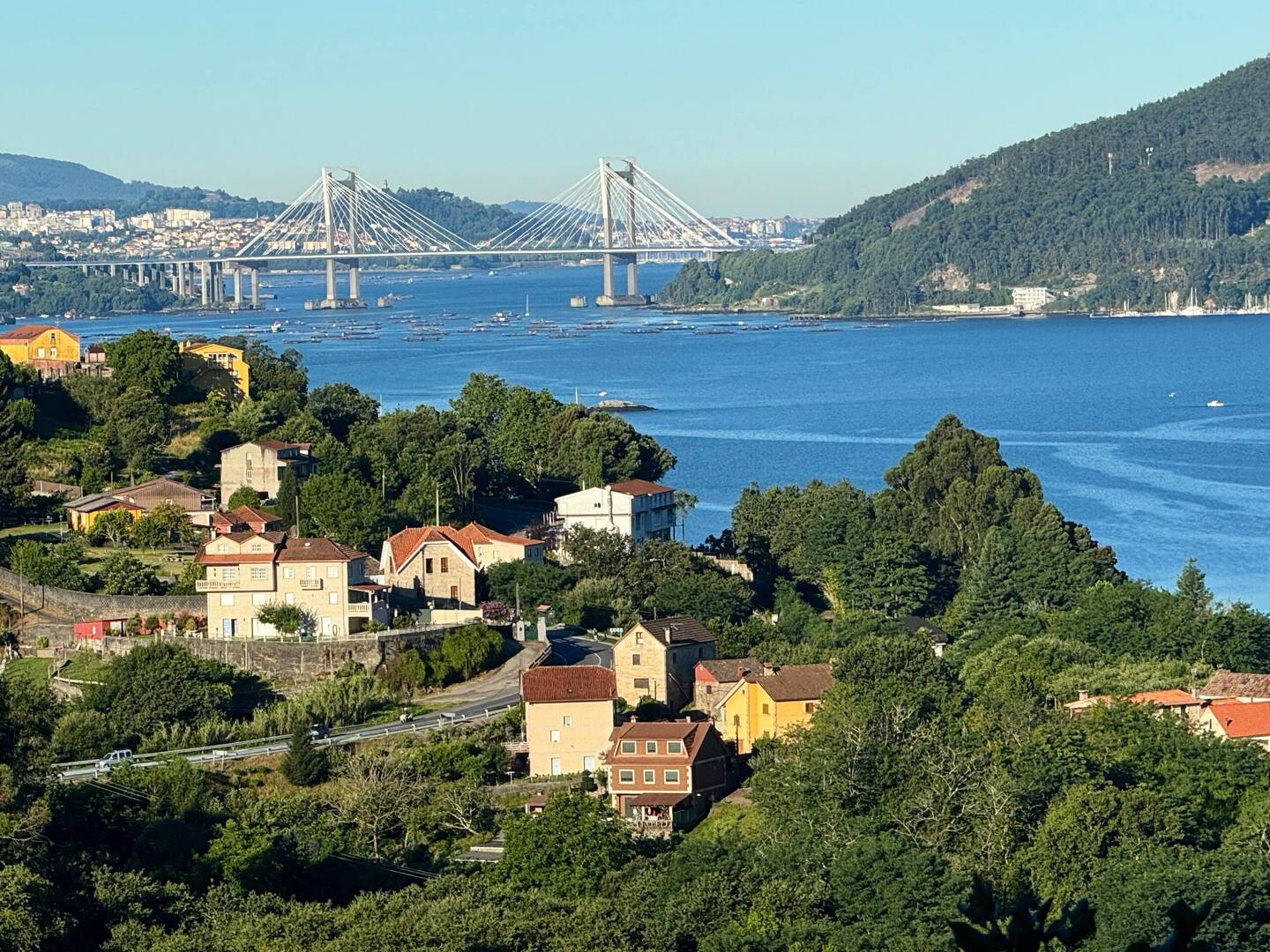 Final view of the vigo bridge.