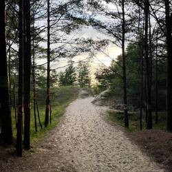 Der Weg zum Strand vom Stellplatz