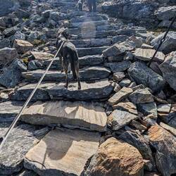Sherpa Treppen zum Gipfel