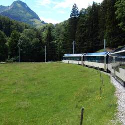 GoldenPass