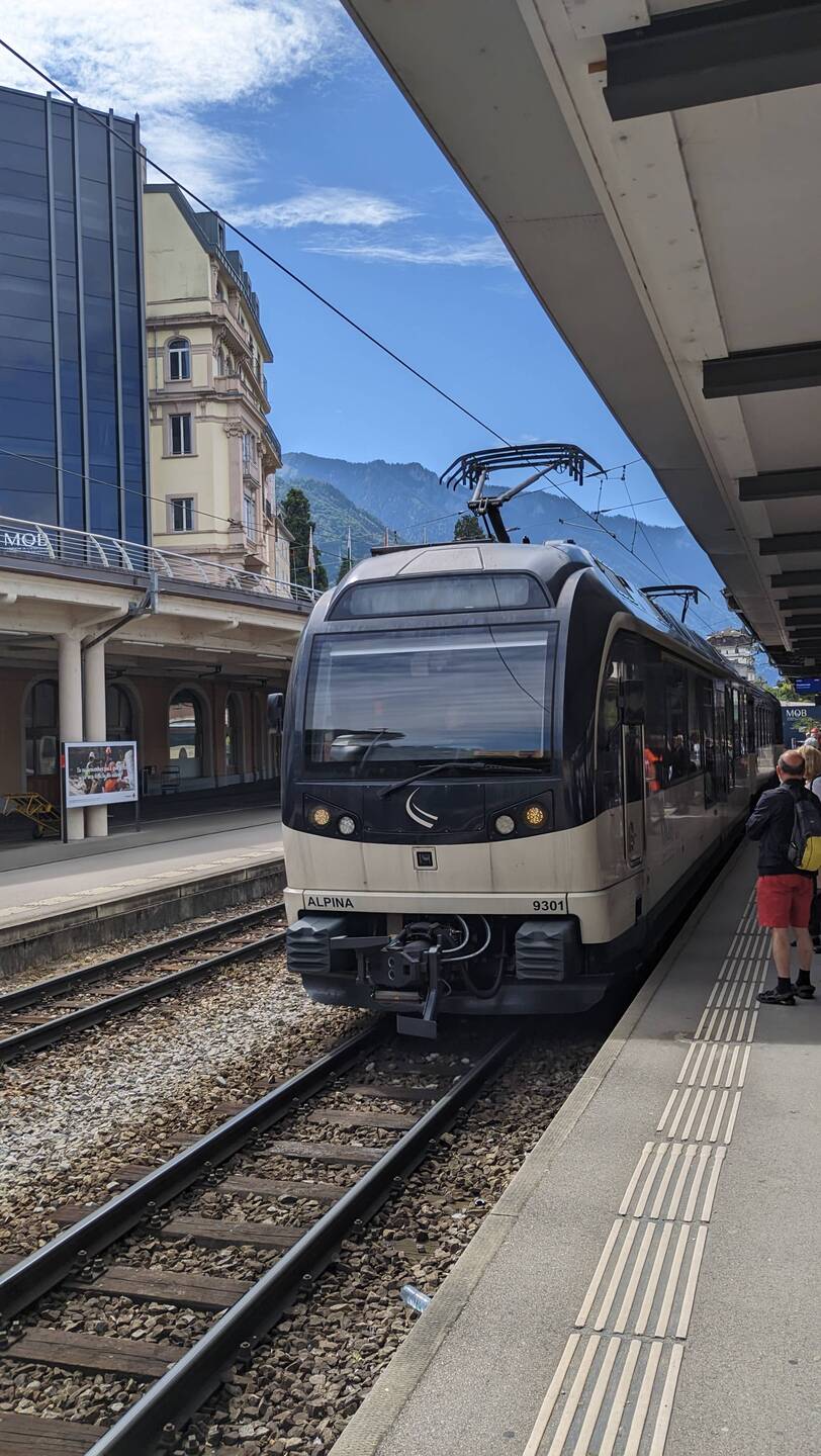 Panoramazug der MOB