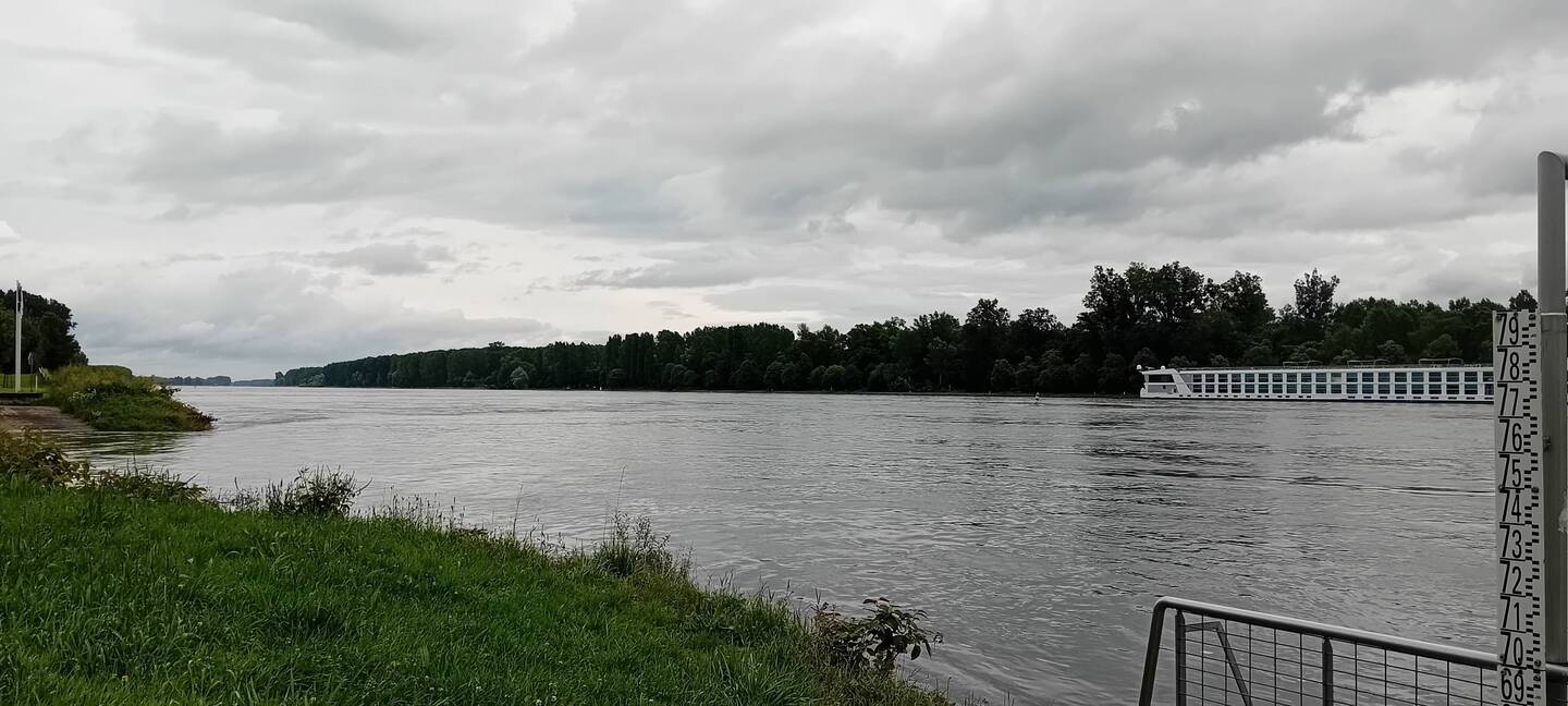 Der Rhein