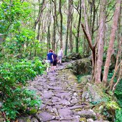 Kurze Wanderung zum Wasserfall