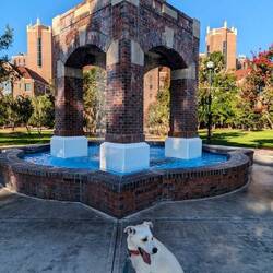 One of many stops on a very warm and humid run around campus to start the 4th of July.