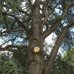 Die Legoeule hat mal so gar nichts mit dem D-Day zu tun