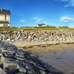 Hier gibt es eine Merle zu finden