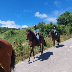 Die Guardia Civil hält die Wege am Jakobsweg sicher. Außerdem liegt deswegen überall Pferdesch...