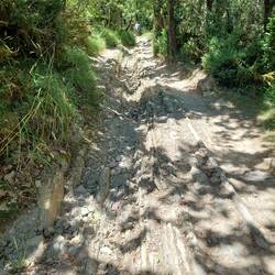 Der herausstehende Schiefer und die losen Steine machen den Abstieg recht lästig.