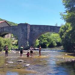 Es hieß, wenn man Vieh unter der Brücke durchtreibt, wird es von allen Krankheiten geheilt.