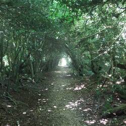 Größtenteils ging es heute durch Waldgebiete.