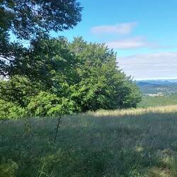 Ab und zu gibt es tolle Aussichten.