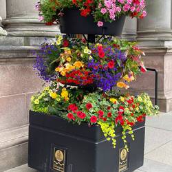 Glasgow, Merchant City, in George Square.