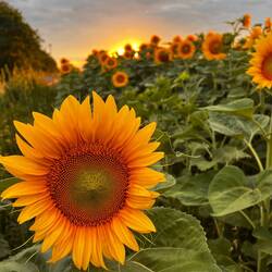 Abendstimmung bei der Stellplatzsuche