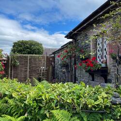 Alexandria, Luss