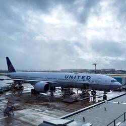 UA870 being prepped for the flight to SFO — SYD ... Mascot NSW.