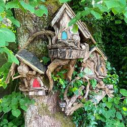 Walking the faerie trail; carving in trees