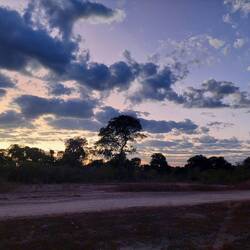 Morgenstimmung im Pantanal