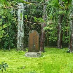 Wunderschön vermooster Innenhof eines Schreins.