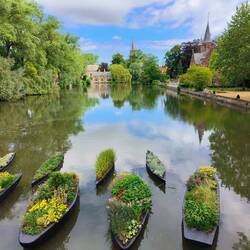 At Bruges