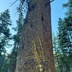 Na wer ging denn hier mal nach oben 😉