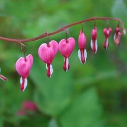 So herzig hier! 💕