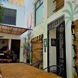 Vorbereitungen auf Beryl