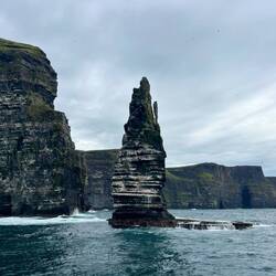 If you enlarge the picture, you can see thousands of resident birds on it