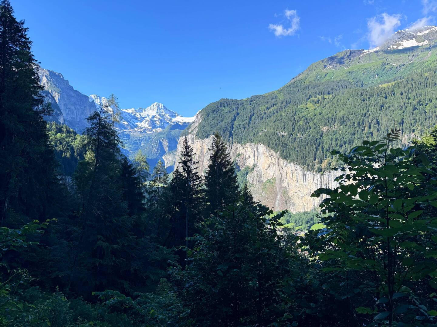 Der Weg von Wengen hinunter nach Lauterbrunnen