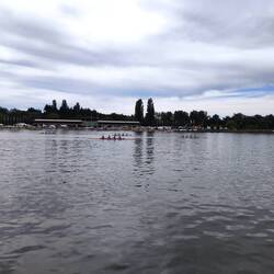 Ruderwettbewerb auf der Allier