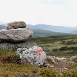 Wir sind im Dovrefjell.😊