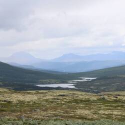 Grau, grün, weiß...