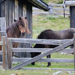 Hm... sieht auch flauschig aus, is es aber nicht...