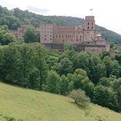 The castle from the garden terraces