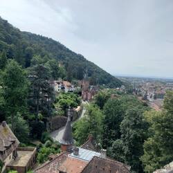Views over Heidelberg and the plains from the castle