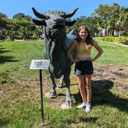 Rocky the bull... anatomically correct bull ... Touch the testicles for luck on exams🤔