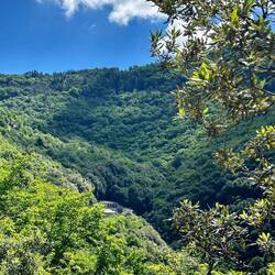 You can see the hermitage nestled lower down the hill here.