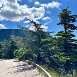Most of the route was a trail, but this little stretch followed a road to the parking lot.
