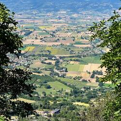 This vista was a nice distraction from the difficulty of the hike!