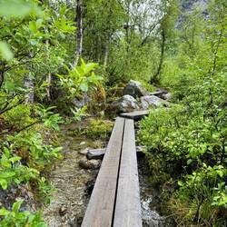 Erinnert uns direkt an Schweden. Da wandern wir auch viel auf Holzbohlen